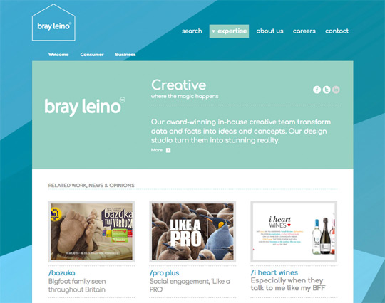 Bray Leino Design Agency