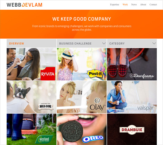 Web Devlam Packaging Design and Branding Agency